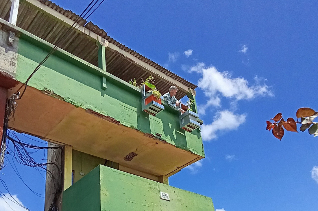 Intervención en macetas