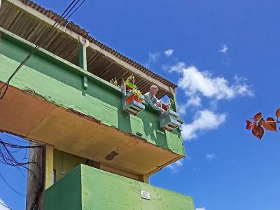 Intervención en macetas