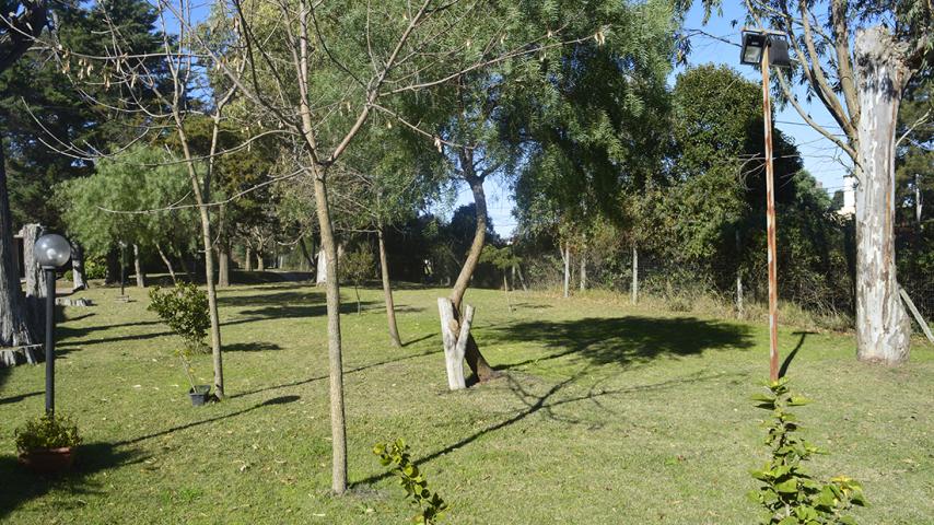 Parque