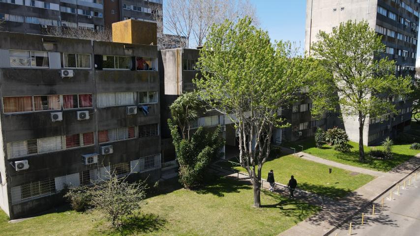 Euskalerría 70 foto 2